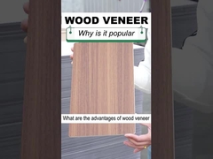 Katı İç Dekorasyon 1.22m Genişlik Ahşap Tahıl Ahşap Kaplama PVC Duvar Paneli