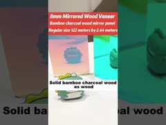 Ayna Duvar Paneli PVC Bambu Kömür Duvar Panelleri Nem geçirmez