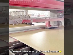 2.44m Bambu Kömür Duvar Tahtası Modern Hafif Lüks Özel Uzunluk PVC Karbon Kristal Duvar Tahtası